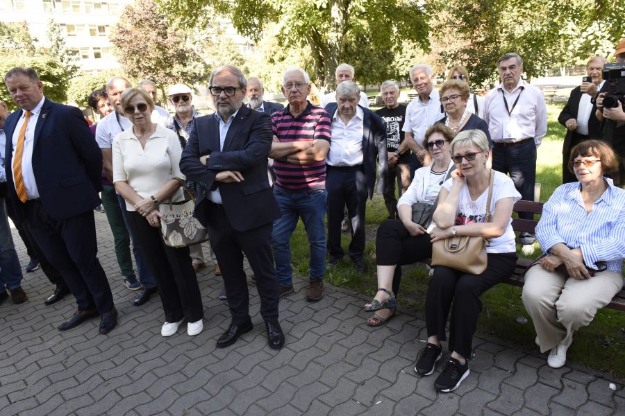 Kliknij aby zobaczyć pełny rozmiar