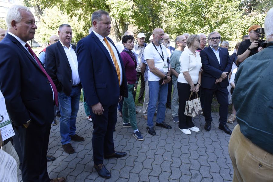 Kliknij aby zobaczyć pełny rozmiar