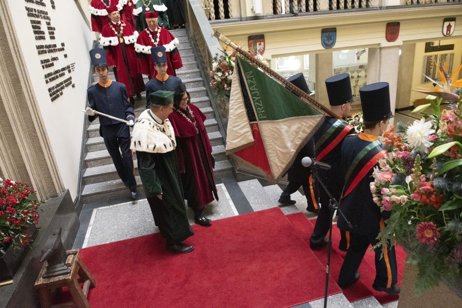 Kliknij aby zobaczyć pełny rozmiar