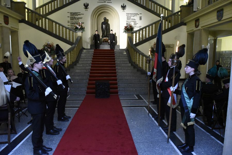 Kliknij aby zobaczyć pełny rozmiar